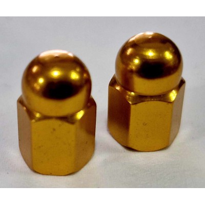 Καπάκια Βαλβίδων Weldtite  gold Καπάκια Βαλβίδων Weldtite  gold