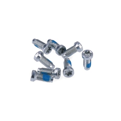 Βίδες Δισκοβραχίονα SRAM Spider Torx Mounting (8 Pieces)