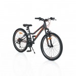 Ποδήλατο Byox  24''  Zante Grey 