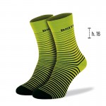 Biotex Calza   Millerighe art 1024  Lime/Nero 43-45
