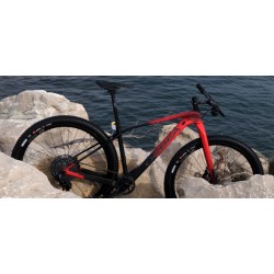 Ποδήλατο ORBEA LTD 29'' MTB (Red / black custom color 2021 (M)