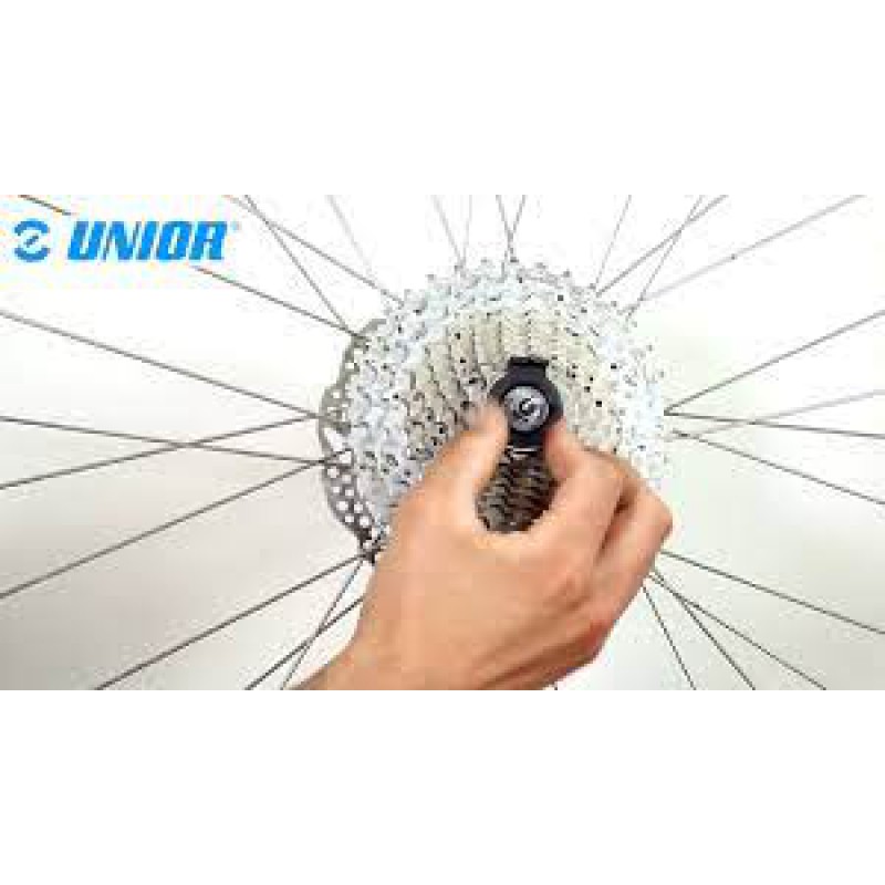 Ακτινολόγος UNIOR 1669/4 Ακτινολόγος UNIOR 1669/4