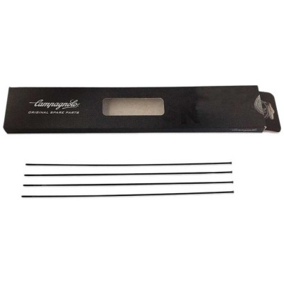 Aκτινες   Campagnolo BORA Front spoke 1pc 264mm  Aκτινες   Campagnolo BORA Front spoke 1pc 264mm